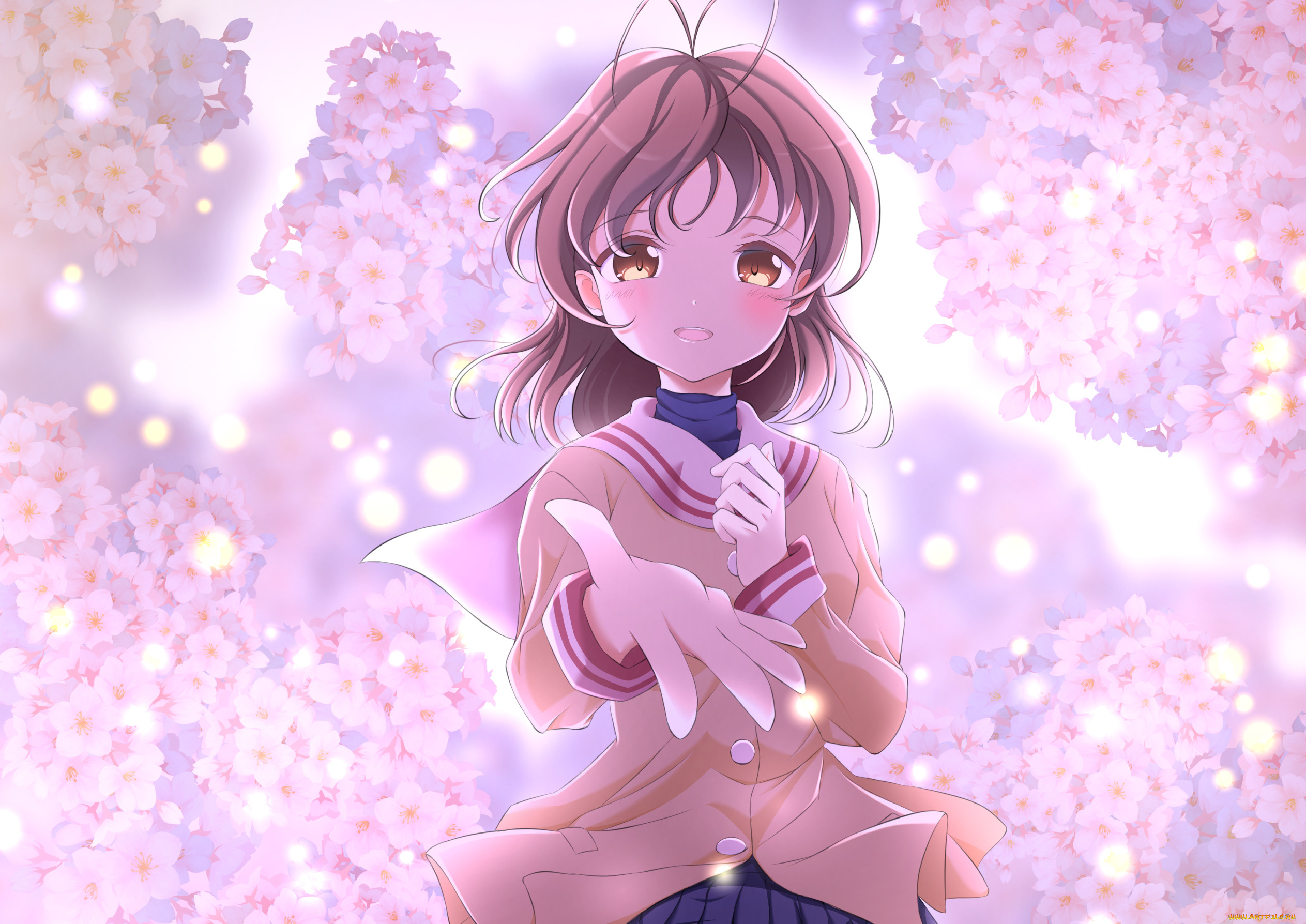 , clannad